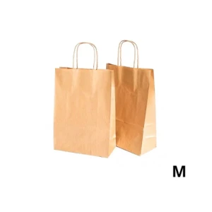 SACOLA PAPEL 26X19,5X9,5 14000694 HIT SORTIDO