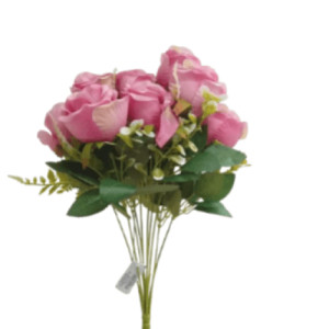 BQ ROSA 42CMX10 - 42559CH