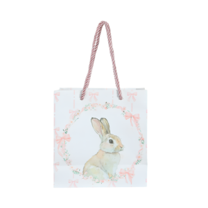 SACOLA PAPEL CANDY 15,5X14,3X7 - 80874001