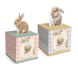 CX POP UP BREEZE COMPOSE P 7X7X7 - 13006380