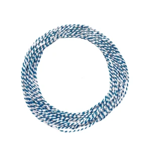 FIO DECORATIVO PAPEL BRANCO/AZUL CLARO 10M - 19000618