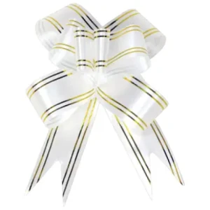 LACO FACIL BRANCO 23MM C/10 - 5838