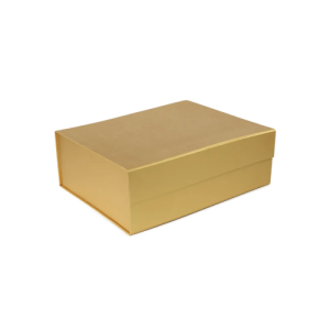 CAIXA RIG DOB RET IMA DOURADO G - 19000741