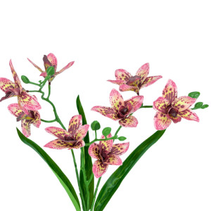 BQ ORQUIDEA CYMBIDIUM 45X3 C/8 FLORES - 41806SL