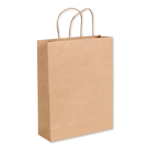 SACOLA KRAFT 18X22X9 - 10002PP C/10