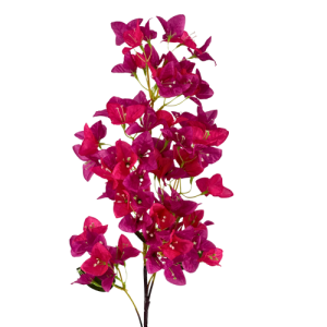 HASTE BOUGAINVILLEA 105 X3 G. C/96 FL. - 627FS