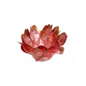 FORMINHA MADRI ROSE GOLD C/30