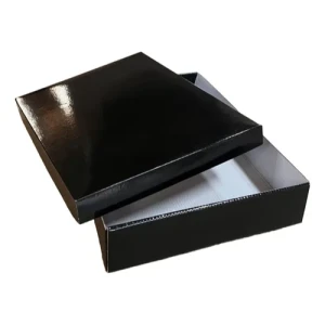 CAIXA CAMISA M PRETO - 6306