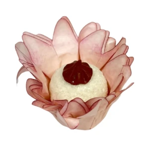 FORMINHA MADRI 30 UN NUDE