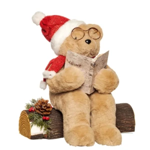 URSO C/LIVRO E GORRO 40X37CM VERDE - 98370VD