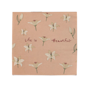 GUARDANAPO DEC 20F DUPLA 33X33CM D2 ST - 27716