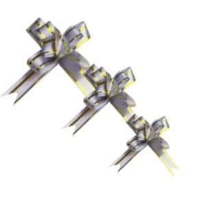 LACO FACIL ORGANZA P PRATA C/10