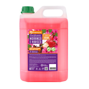 SABONETE LIQ. MORANGO E HIBISCUS 5L