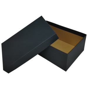 CAIXA COMUM N 039 31X21X12 - RETANGULAR