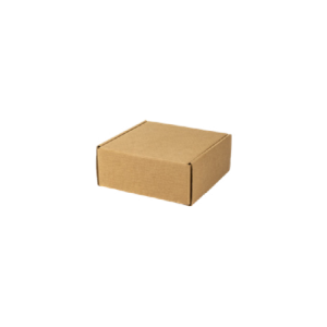 CAIXA E-COMMERCE 18X15X8 - 3453