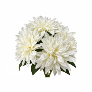 BQ DALIA 42CMX7 - 42556BR
