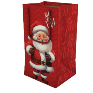 SACOLA COM VISOR NOEL - SN-03