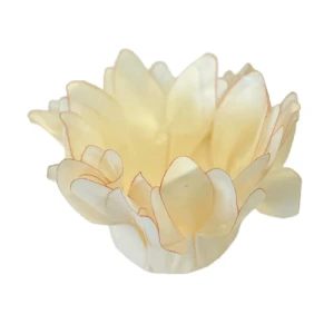 FORMINHA MADRI 30 UN CHAMPAGNE