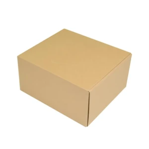 CAIXA KRAFT 34,5X27,5X3,8 ENVIO