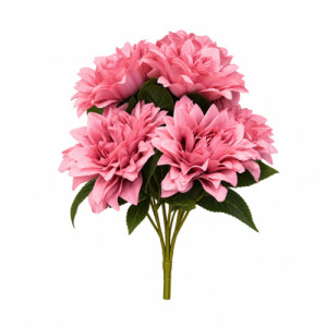 BQ DALIA 42CMX7 - 42556RS