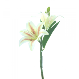 HASTE LIRIO CBOTAO 32X3 C/2 FLORES E 1 BOTAO - 40115RS