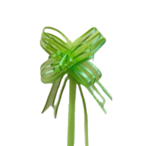 LACO FACIL ORGANZA M VERDE LIMAO C/10