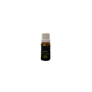 OLEO EUCALIPTO 10ML - AROMAS