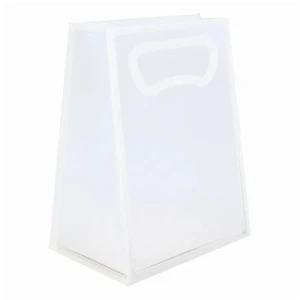 SACOLA PP ALCA PLANA FOSCA 25X15X9 - 19001019