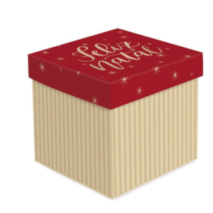 CAIXA CUBO STDO M 15X15X15 - 13004322