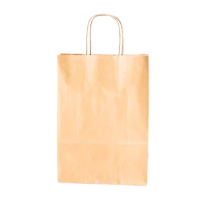 SACOLA PAPEL LOONEY TUNES M 26X19,5X9,5 - 14001189