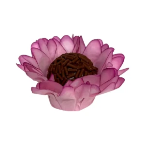 FORMINHA MADRI 30 UN CHICLETE