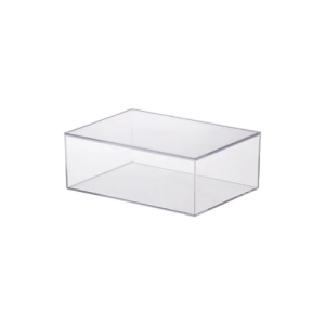 CAIXA ORGANIZ C/ TAMPA 22,5X16,5X8,5 PARAMOUNT