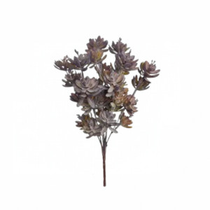 BQ. MINI SEDUM 31CMX7 - 42410CF