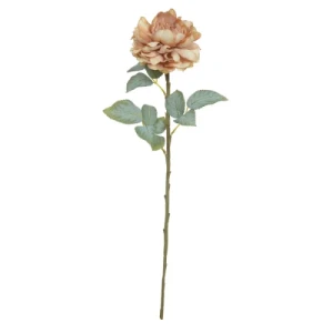 HASTE PEONIA 66X3 - 42569BR