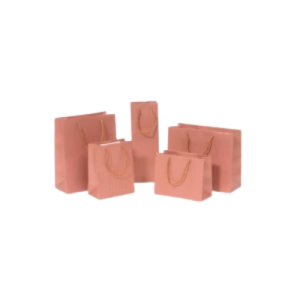 SACOLA LUXO BRIGITTE 18X23 ROSE