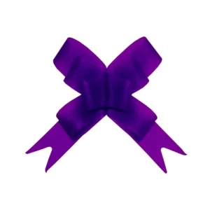 LACO FACIL ORGANZA M ROXO C/10