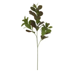 HASTE CLUSIA 78CM X6 C/50 FOLHAS - 40058