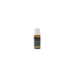 OLEO HORTELA 10ML - AROMAS