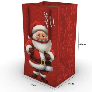 SACOLA COM VISOR NOEL - SN-03