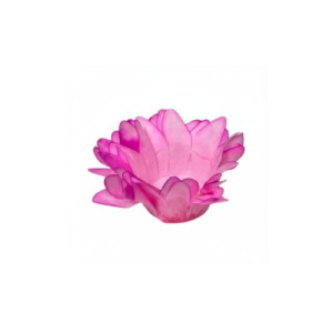 FORMINHA MADRI 30 UN ROSA CLARO