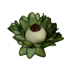 FORMINHA MADRI 30 UN PISTACHE