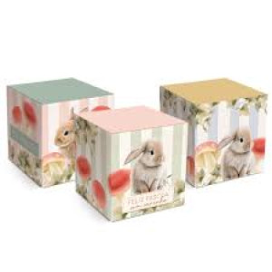 CX POP S/VISOR BREEZE SORTIDO 7X7X7 - 13006288