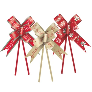 LACO PRONTO 23 MM SORTIDO NATAL C/ 10 18400109