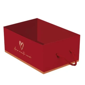 CAIXOTE CARTAO C/ ALCA LACAROTE 22X15X10,5 - 13008157