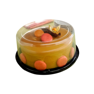 BAND. PLAST 60CTA TORTA GRANDE - GALVANOTEK