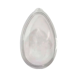 EMBALAGEM OVO 250G TRANSP. C/05 - 7492