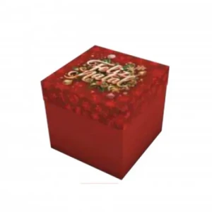 CAIXA CUBO G 22X22X17,5