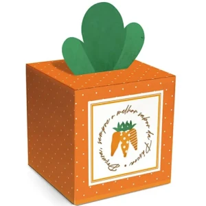 CAIXA POP UP FRESH P 7X7X7 PT - 13005430