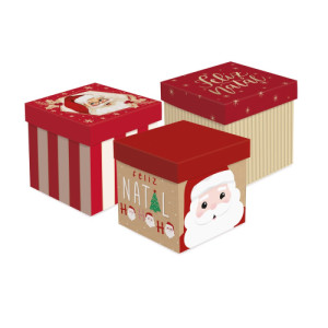 CAIXA CUBO STDO P 13X13X13 - 13004321