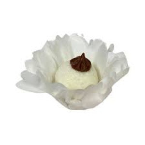 FORMINHA MADRI 30 UN BRANCO